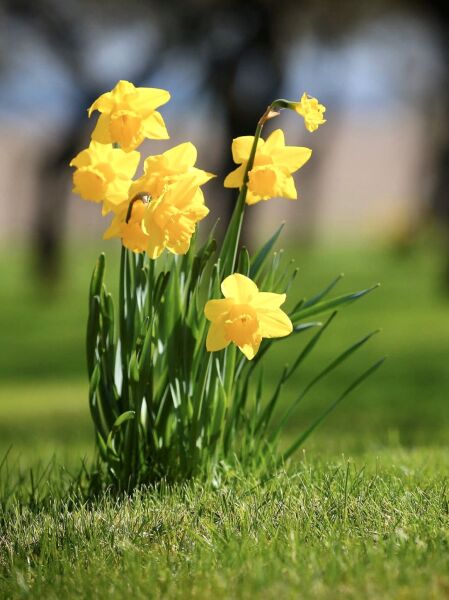 The Bluestocking Inn, cocktails and cocoa and all