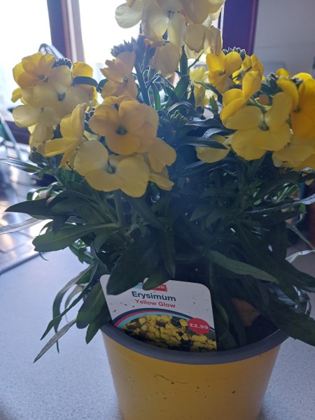 Just Supporting (Continued)