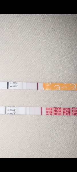 Faint line at 10DPO after recent losses, can you see it?
