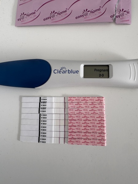 🎇 Due November 26 🎆