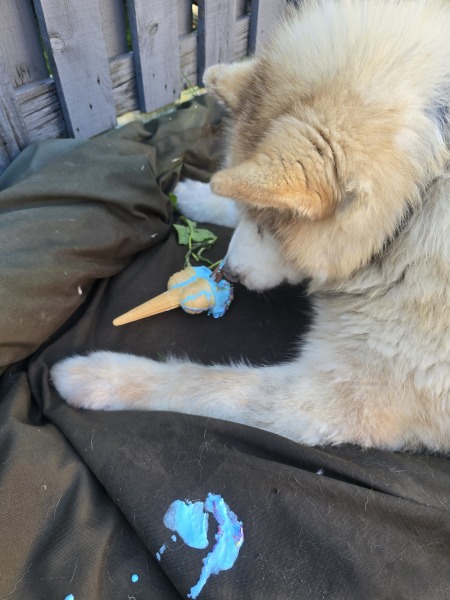 Tribunal discussion thread supporting FayeRC in case against NHS England starting 16/03/26