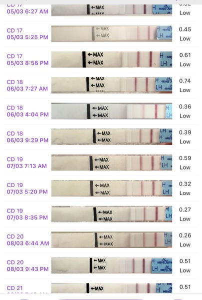 PCOS and LH test help