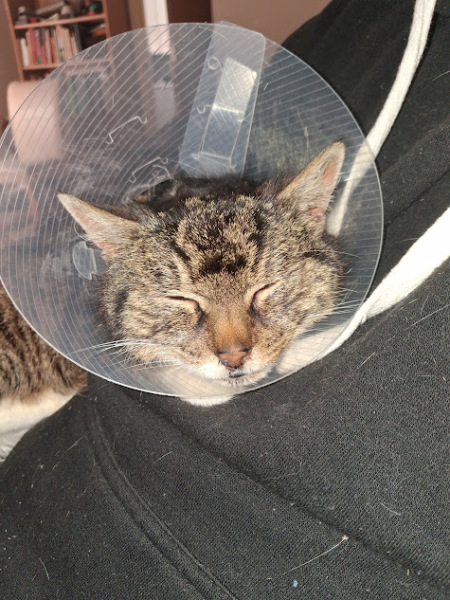 The Happy Place Café is open 2026