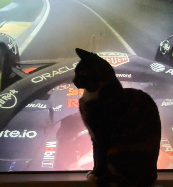 Woolly Hugs. A blanket for lovely wafflenose who has tragically lost her daughter. Can you help us please?