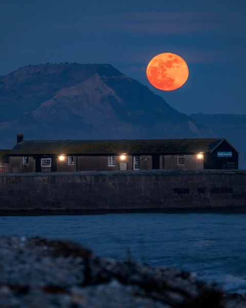 Year round Nigel Slater discussion thread - Part 3