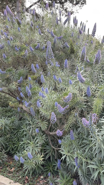 Year round Nigel Slater discussion thread - Part 3