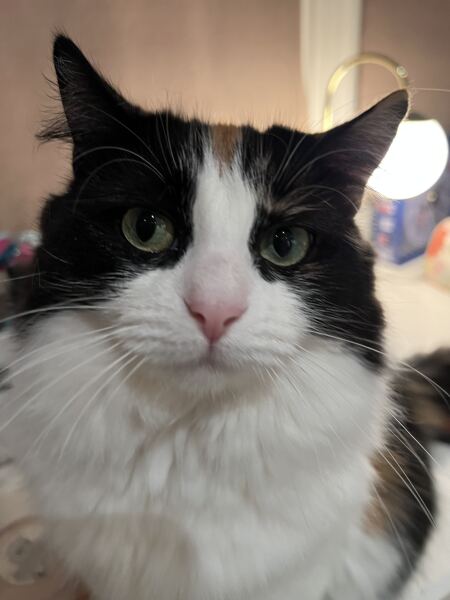 Marmite love it or hate it ?