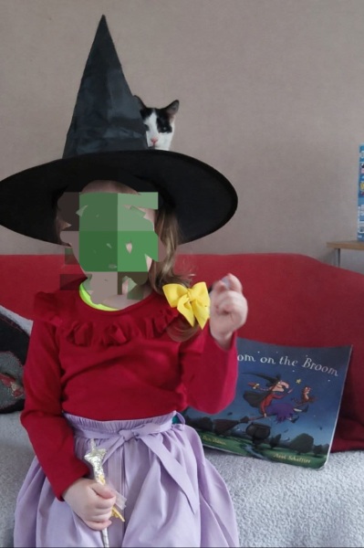 Carry On Catting - the Excellent Cats do what they do best