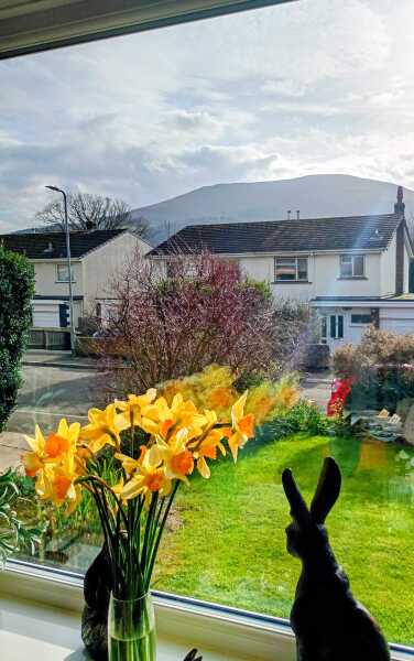 Just Supporting (Continued)