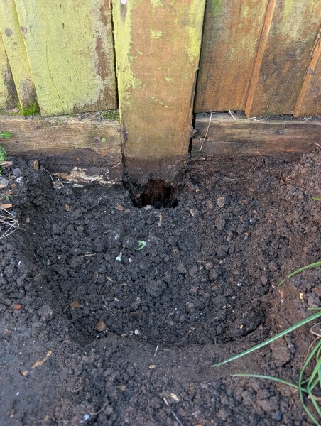 What have you done in the garden today? Part 8