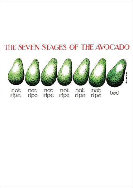 Avocados are deceitful little bastards