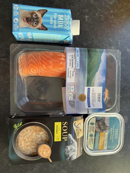 Carry On Catting - the Excellent Cats do what they do best