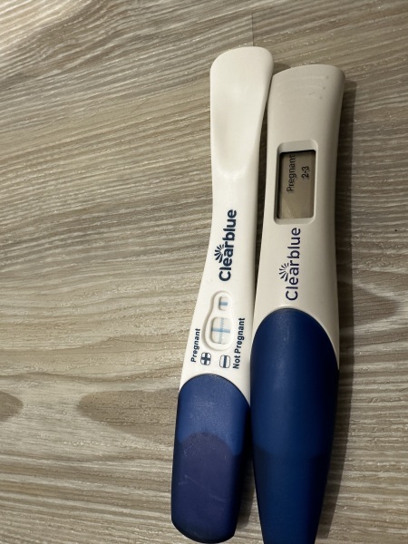 🎇 Due November 26 🎆