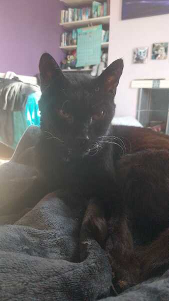 Tired of carrying my evening outfit in a bag under my desk!