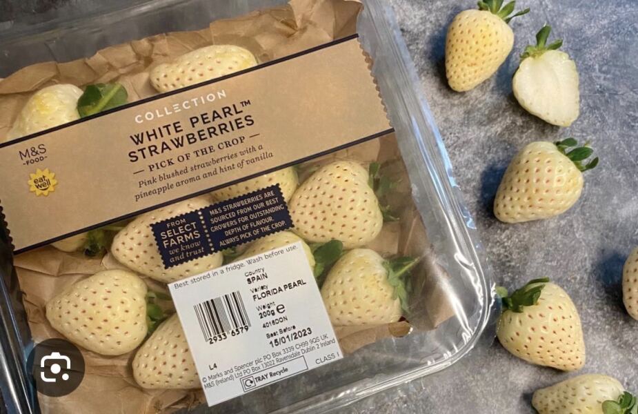 Avocados are deceitful little bastards