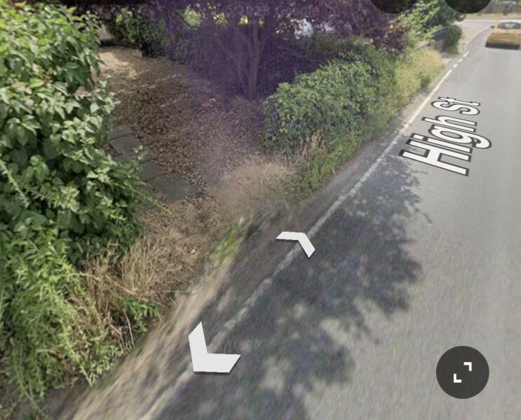 Husband wanting to take a hedge down in April - tried telling him this could get him into trouble