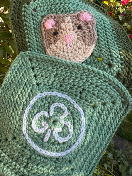 Woolly Hugs. A blanket for lovely wafflenose who has tragically lost her daughter. Can you help us please?