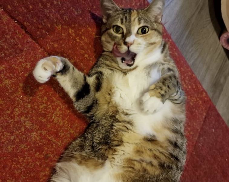 Tired of carrying my evening outfit in a bag under my desk!