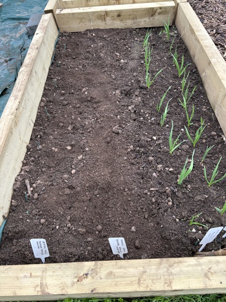 What have you done in the garden today? Part 8