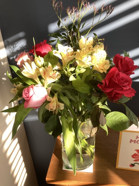 Thread 46 Starmer: Meloj kaj kastoroj sur monbiletoj, arbaro de kolero