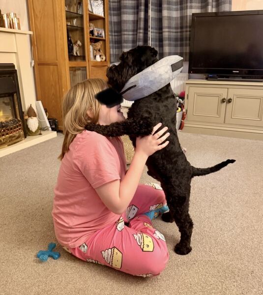 Fading puppy syndrome