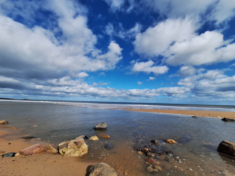 Year round Nigel Slater discussion thread - Part 3