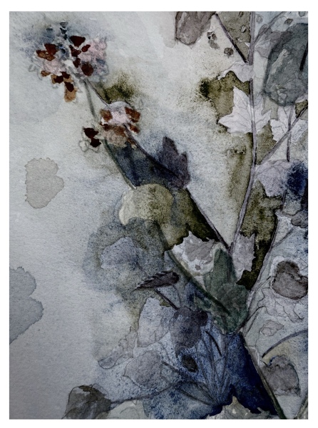 In which area (visual art) do I have more skill?