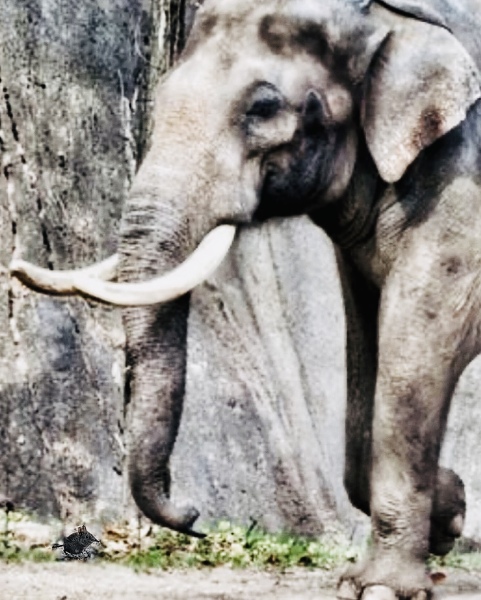 The Bluestocking Inn, cocktails and cocoa and all