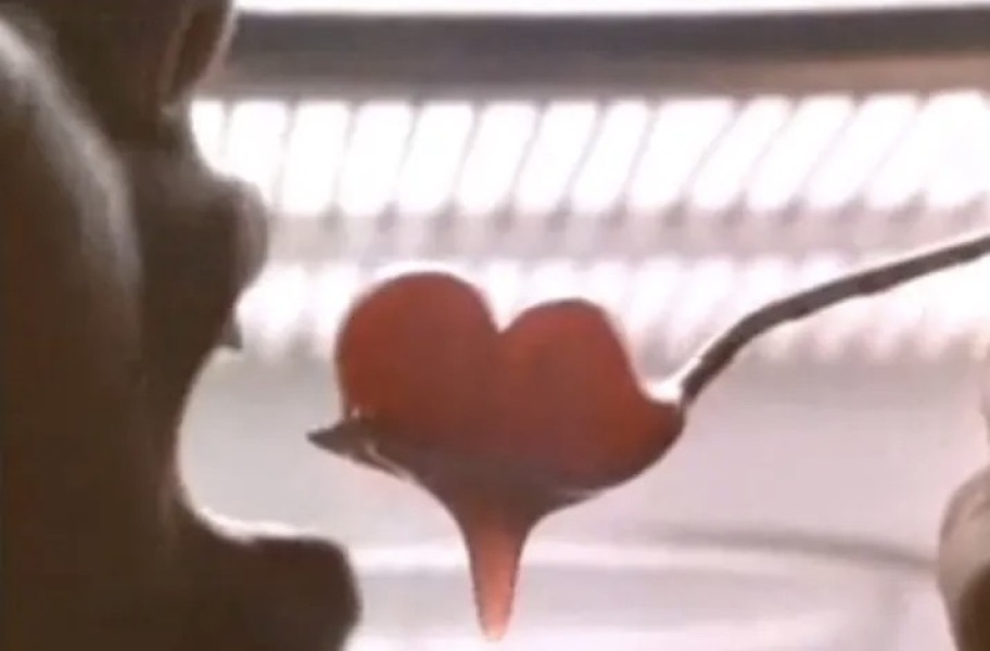 Net curtains are not a legal requirement!!??