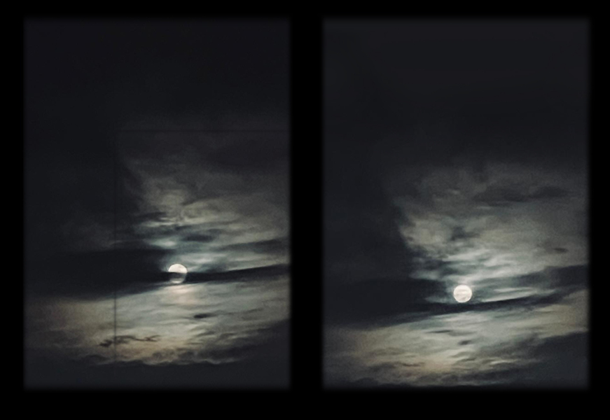 Year round Nigel Slater discussion thread - Part 3