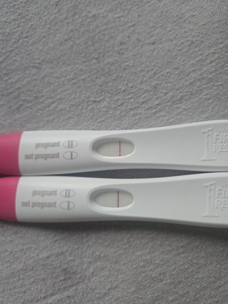 February FET 2026