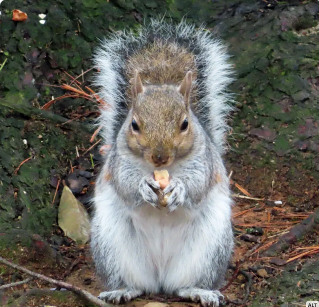 Thread 45 Starmer: Una nación que olvida su pasado no tiene futuro.