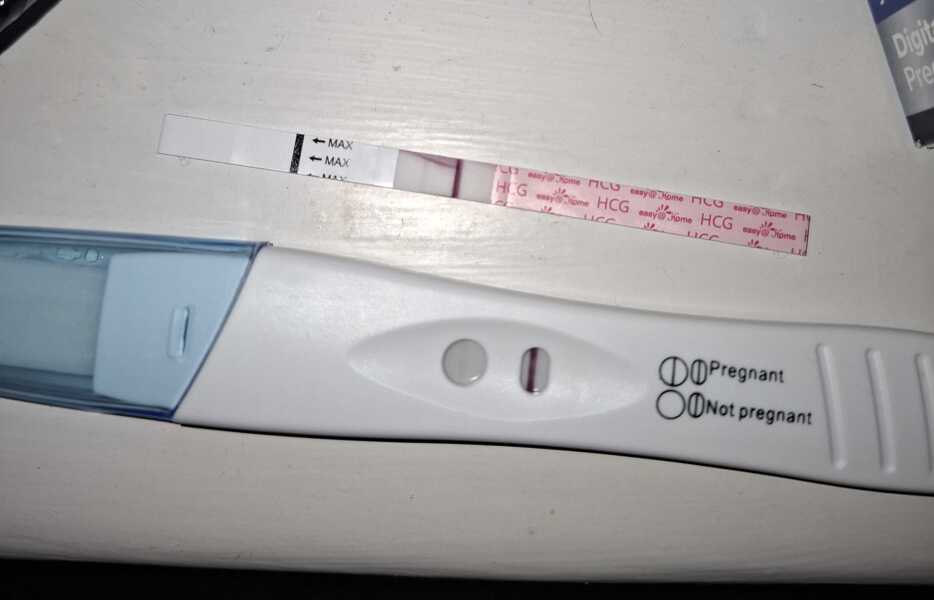 Bfp or false positive?