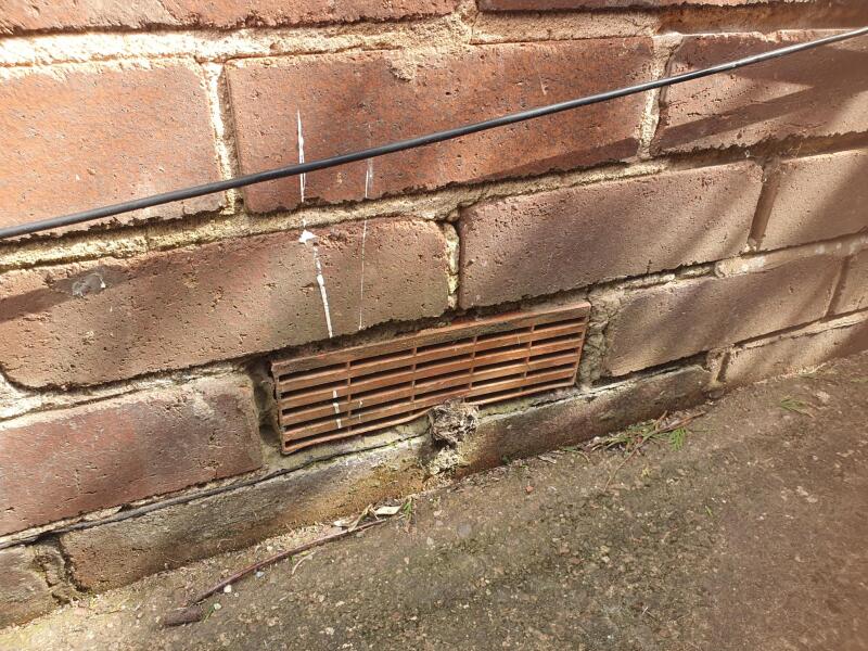 Advice on damp smell and possible water under our 1930s semi