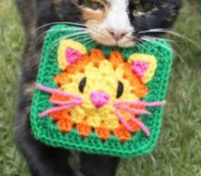 Woolly Hugs. A blanket for lovely wafflenose who has tragically lost her daughter. Can you help us please?