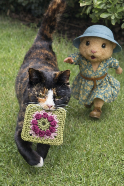 Woolly Hugs. A blanket for lovely wafflenose who has tragically lost her daughter. Can you help us please?