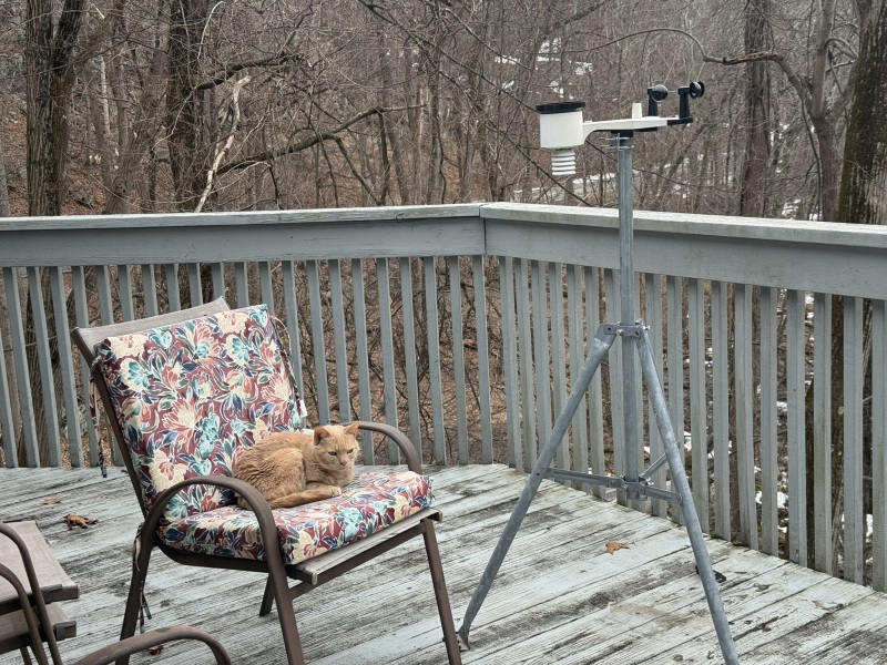 Come and tell us your dull and unexciting news 35: Calmly through the day