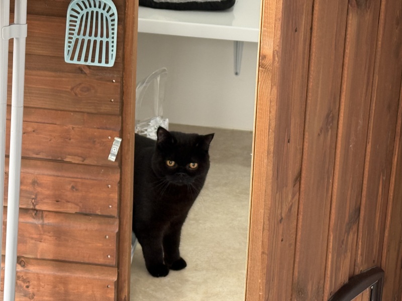 Hello from Charlie