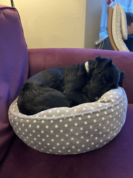 Last thing you said out loud