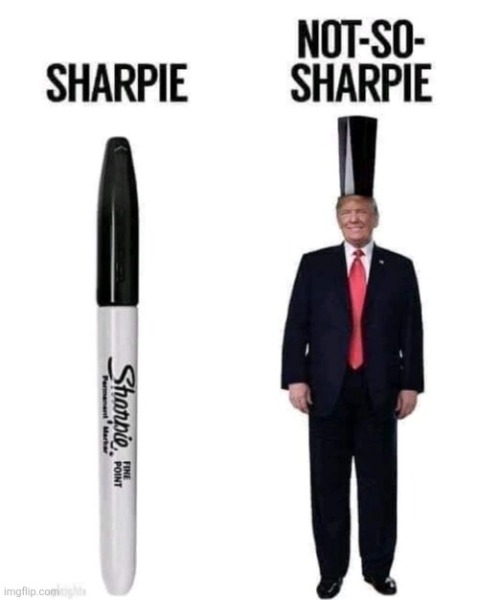 Bored of Peace? Let's Mambo! - Trump Thread #158