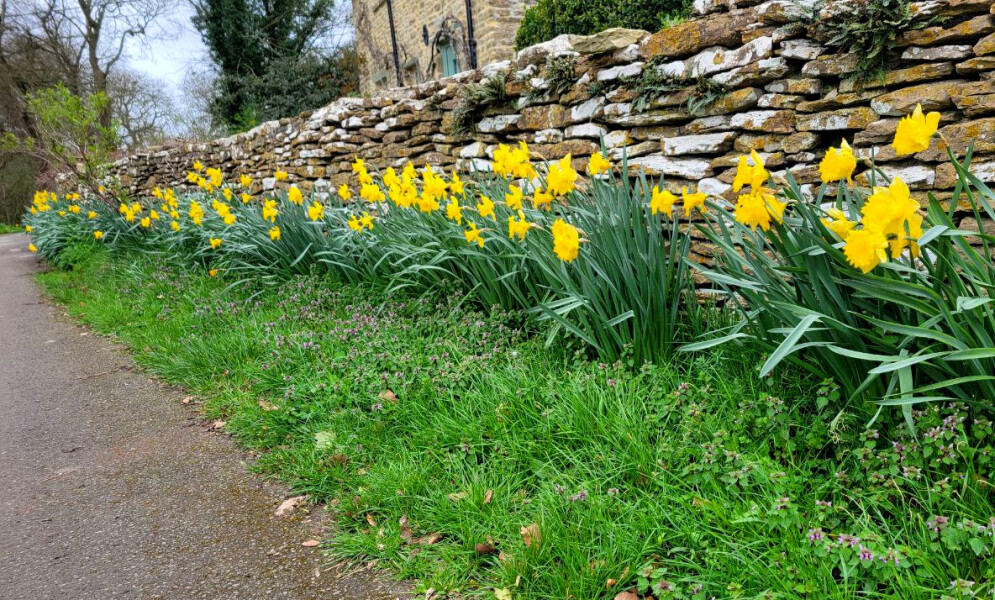 What have you done in the garden today? Part 8