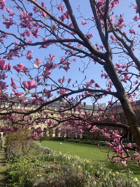 Year round Nigel Slater discussion thread - Part 3