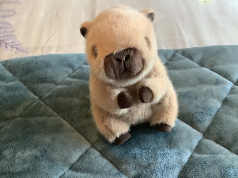 The Bluestocking - Best Pub on the Internet