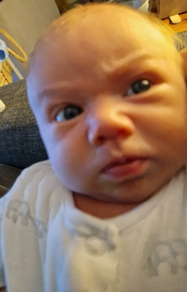 My baby looks at me disapprovingly