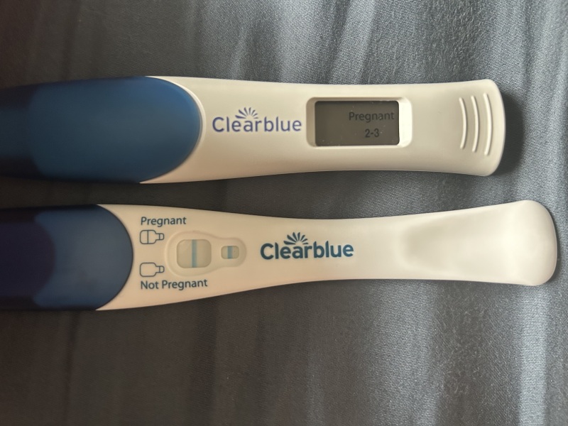 IVF march 2026