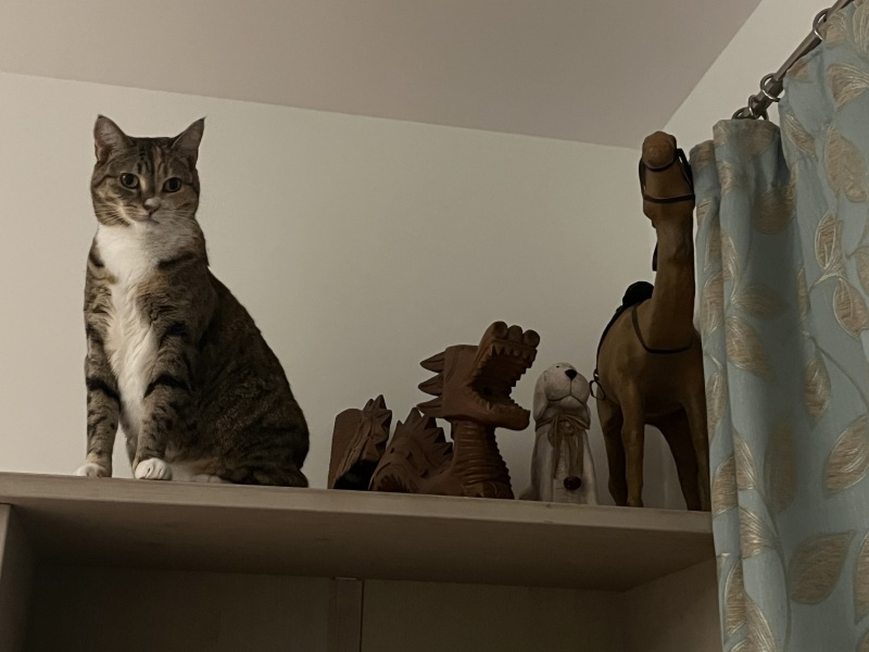 The Bluestocking Inn, cocktails and cocoa and all