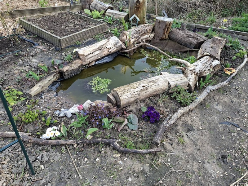 New allotment. What have I done