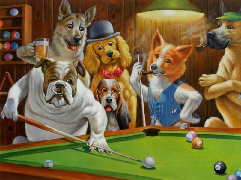 Really don't like dogs being in virtually every cafe now