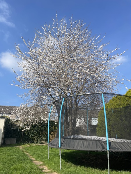 What are you up to today if you have a chronic illness?  Thread 7