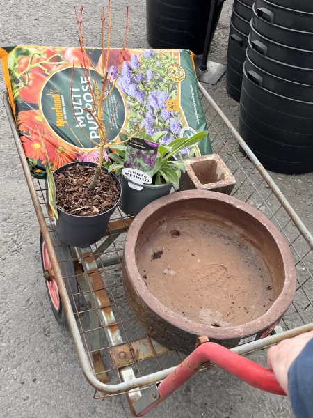 What have you done in the garden today? Part 8